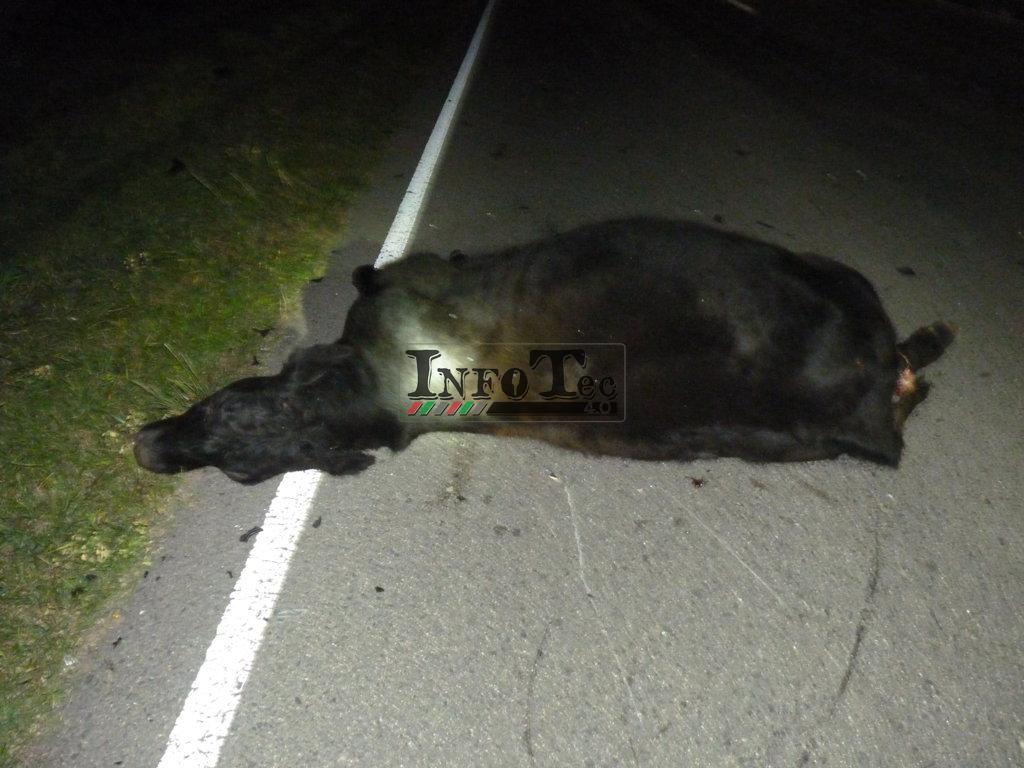 P1200763 (FILEminimizer)