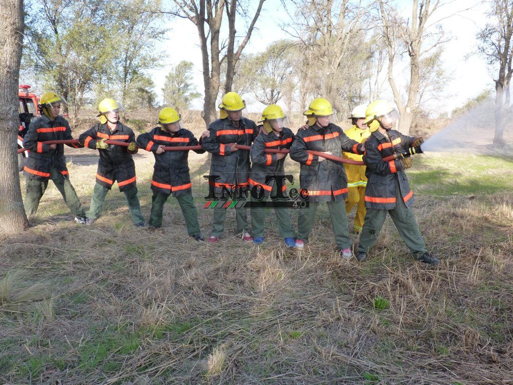 P1210589 (FILEminimizer)