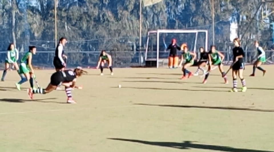 65193730_2523484714329852_5337990478811889664_n