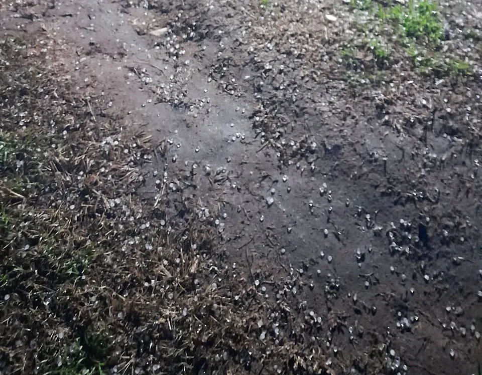 781947e1-1fec-4298-b911-3887555608aa