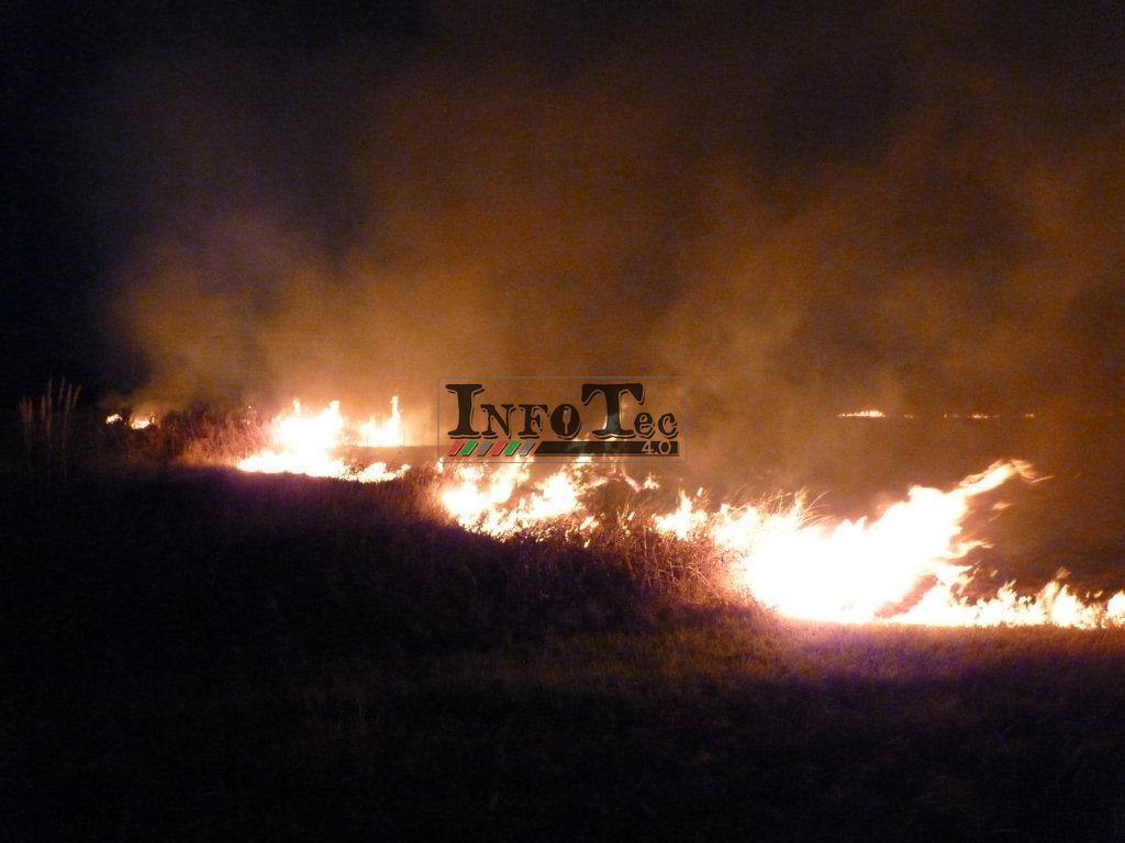 P1250720 (FILEminimizer)