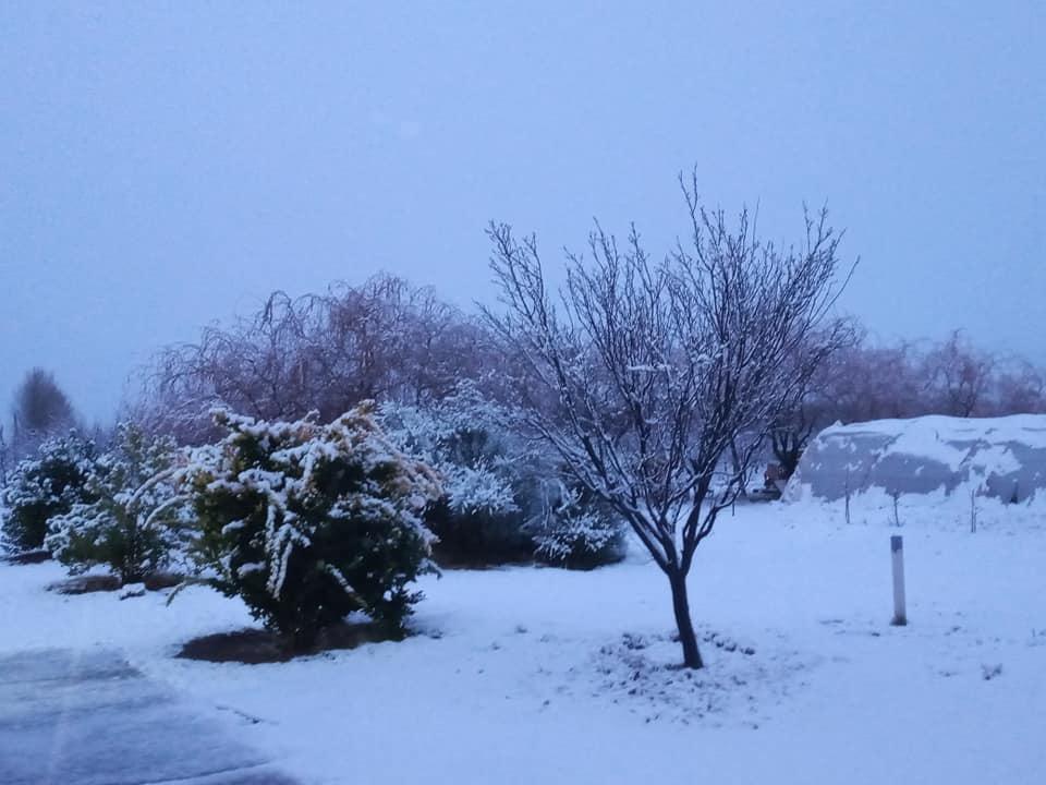 75375551_10217934633498480_4435835769368946631_n