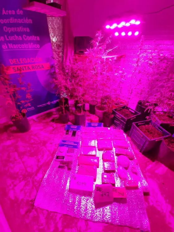 294996_img-20220509-wa0048