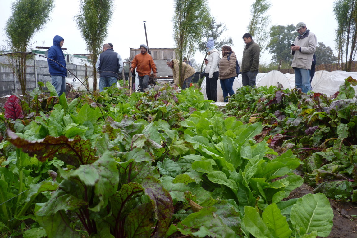 P1370483 (FILEminimizer)