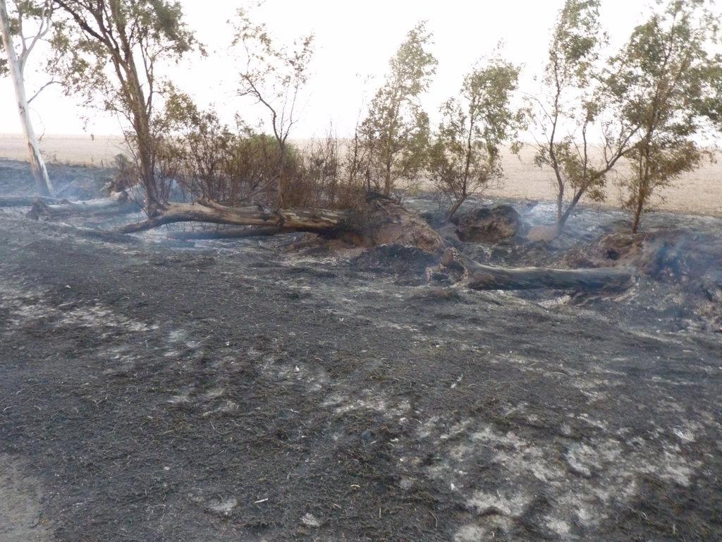 P1060031 (FILEminimizer)