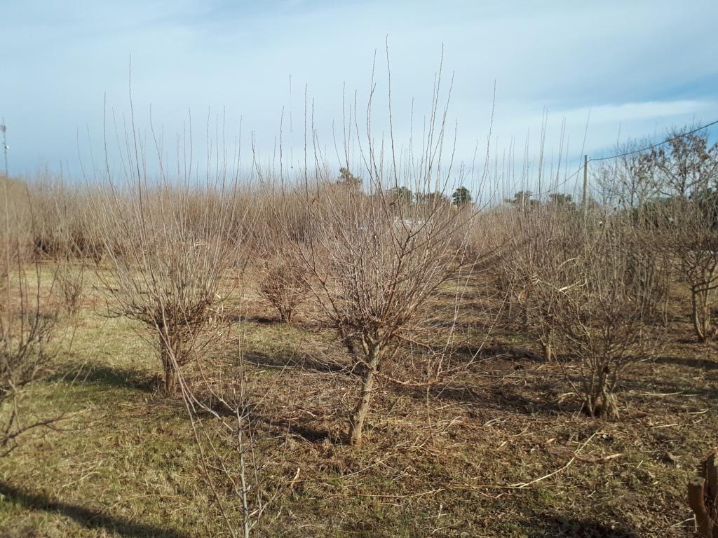 20200703_122118 (FILEminimizer)