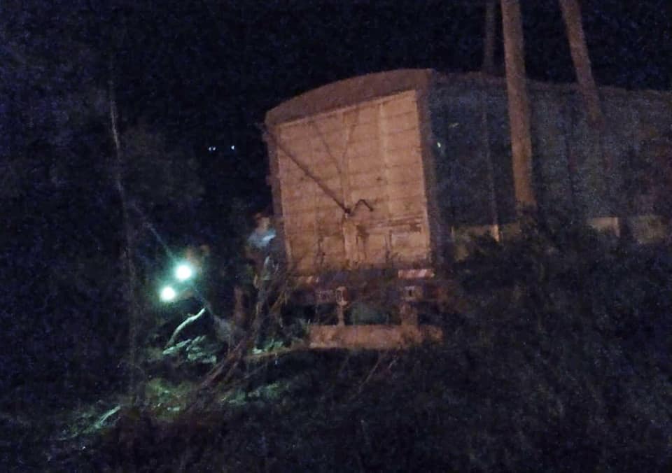 55557199_411510992583302_5108683167015895040_n