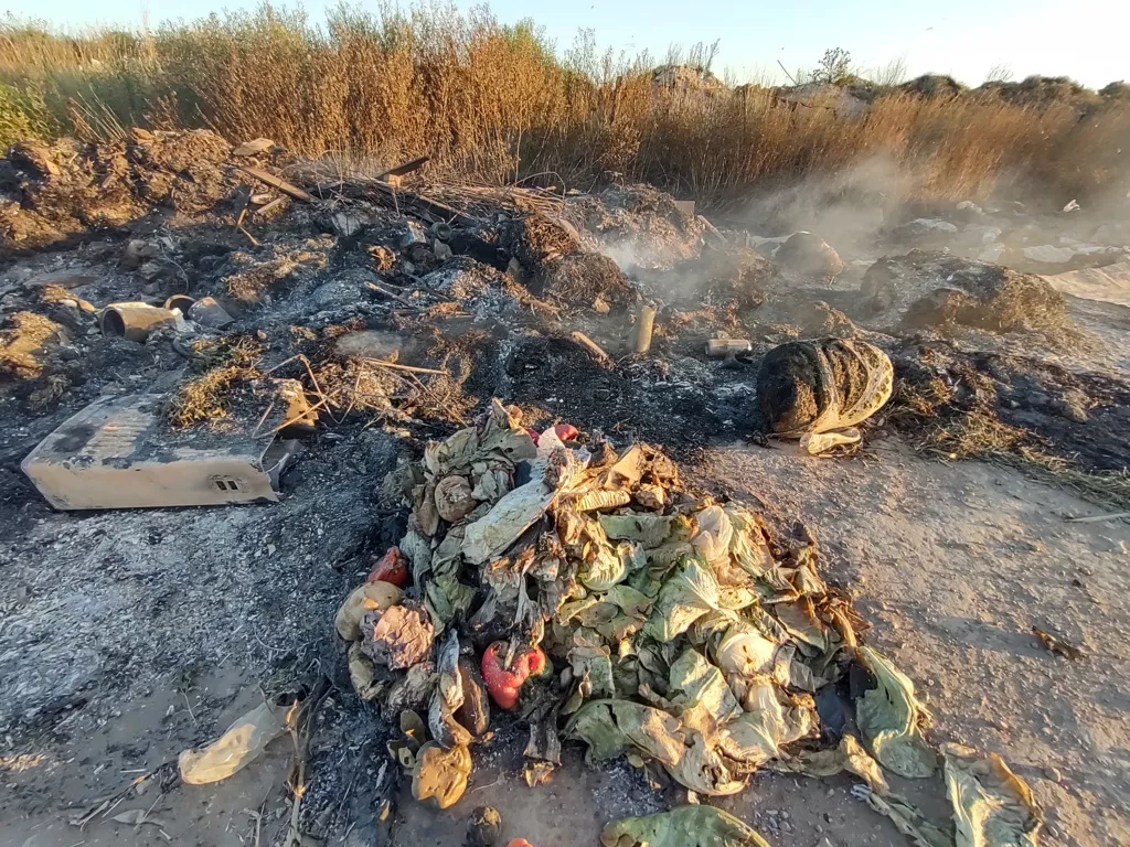 IMG_20220209_195225482_HDR (FILEminimizer)