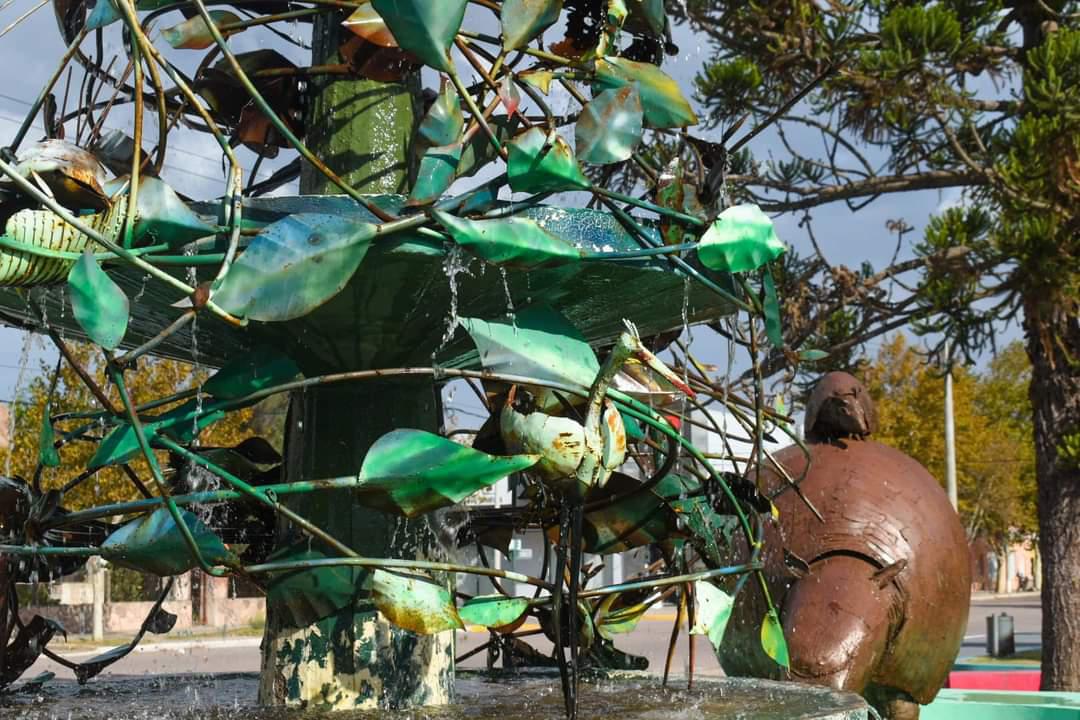 WhatsApp Image 2021-03-03 at 20.22.41 (1)