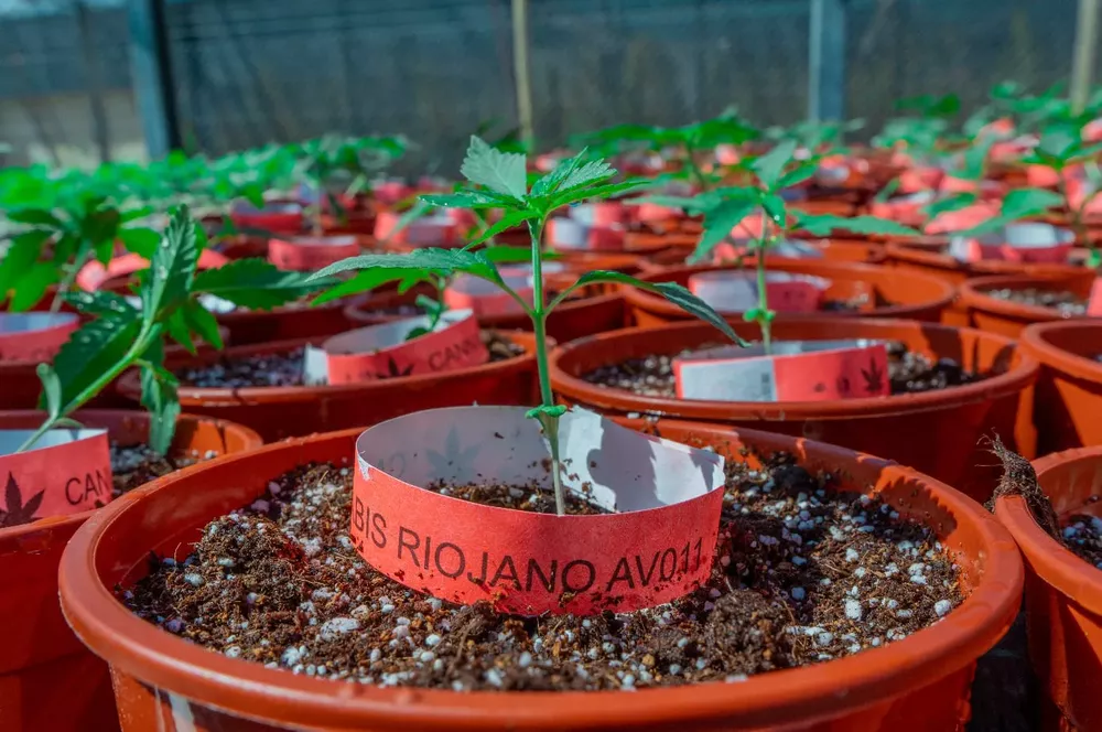 9af63b76-d66f-4e14-9bac-4d6c57ea8c17