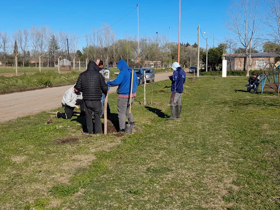 Forestación Parera 3