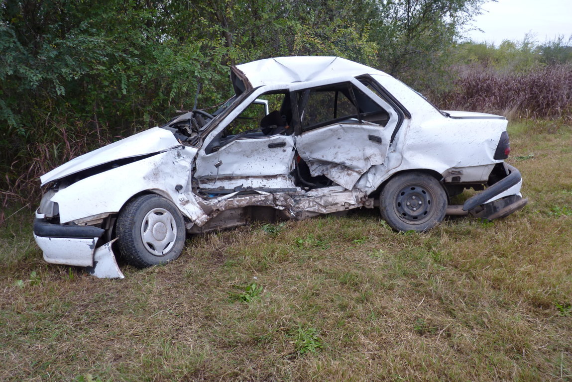 P1370262 (FILEminimizer)