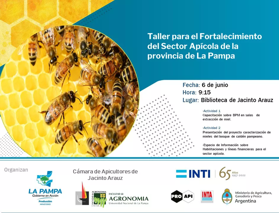 183675_whatsapp-image-2022-06-01-at-2.09.38-pm