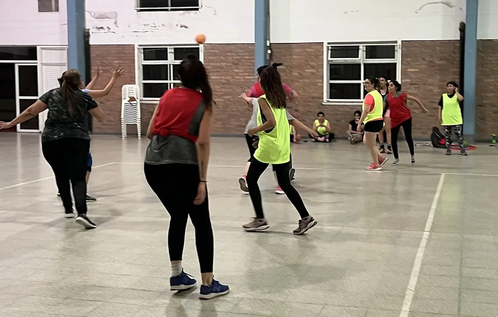 cesto 3 (FILEminimizer)