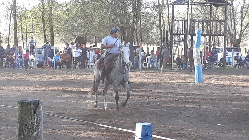 61112427_2464002166944774_3235436801522925568_n