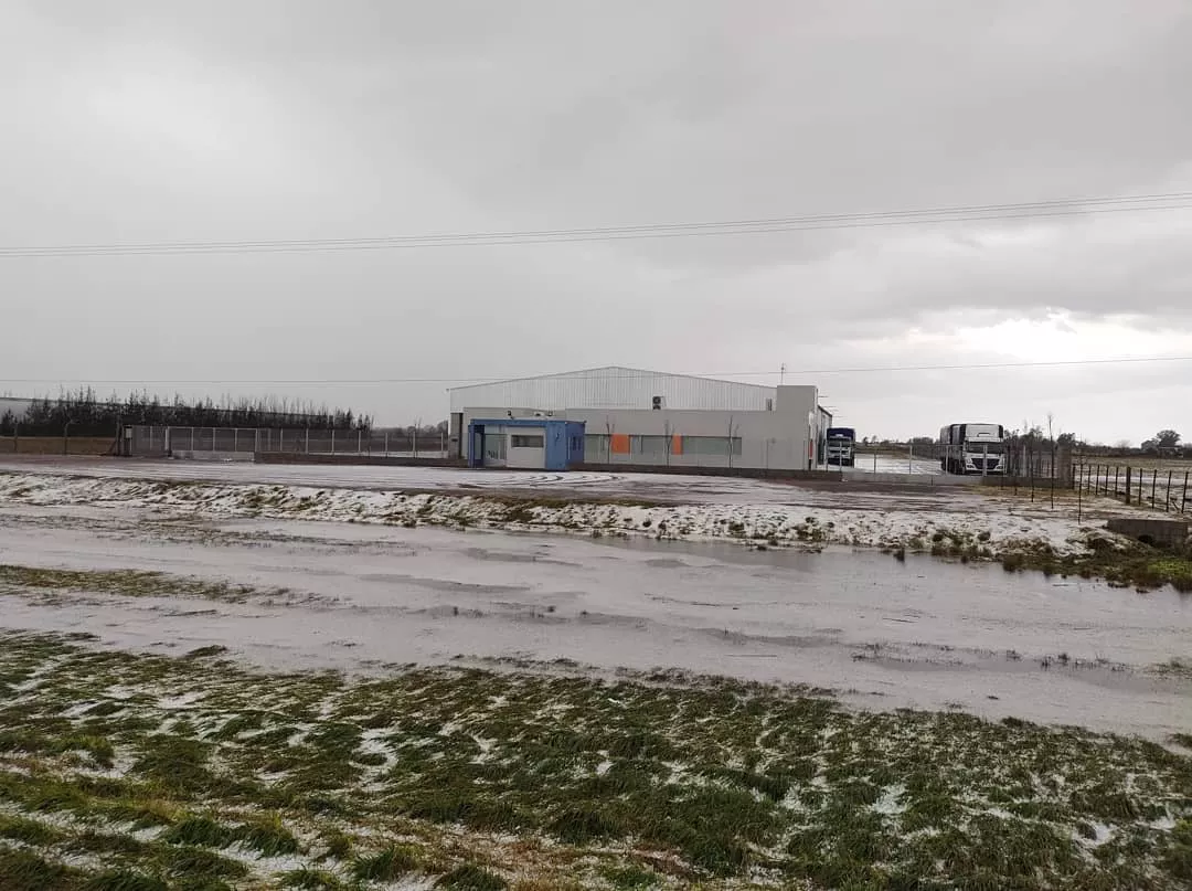 233389906_10159951431023896_2098142384914712820_n