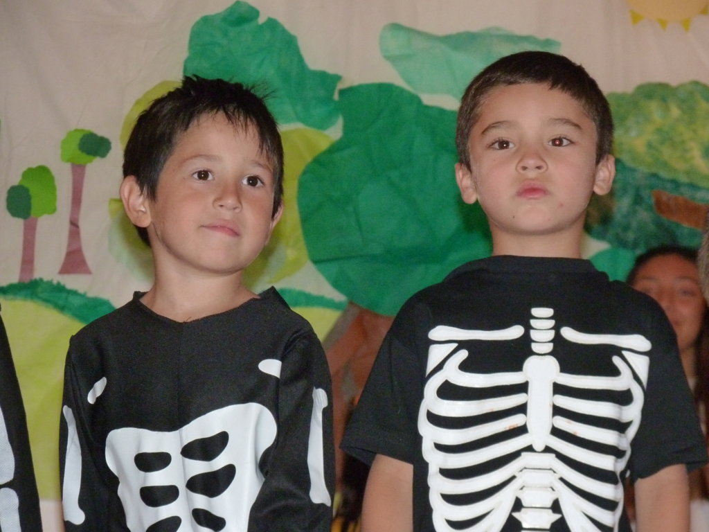 P1310225 (FILEminimizer)