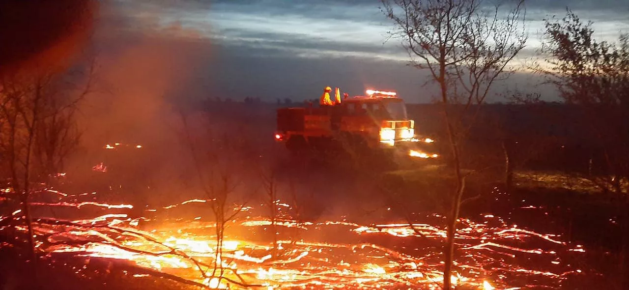 241805362_4632230903455212_8206909151740708865_n