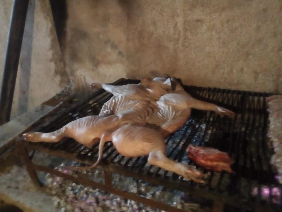 59163354_2423131051031886_3966783154080972800_n