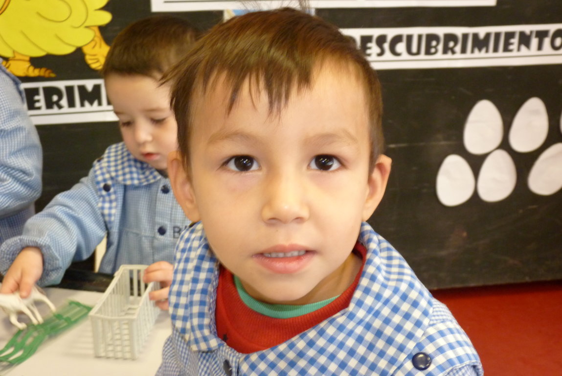 P1380664 (FILEminimizer)