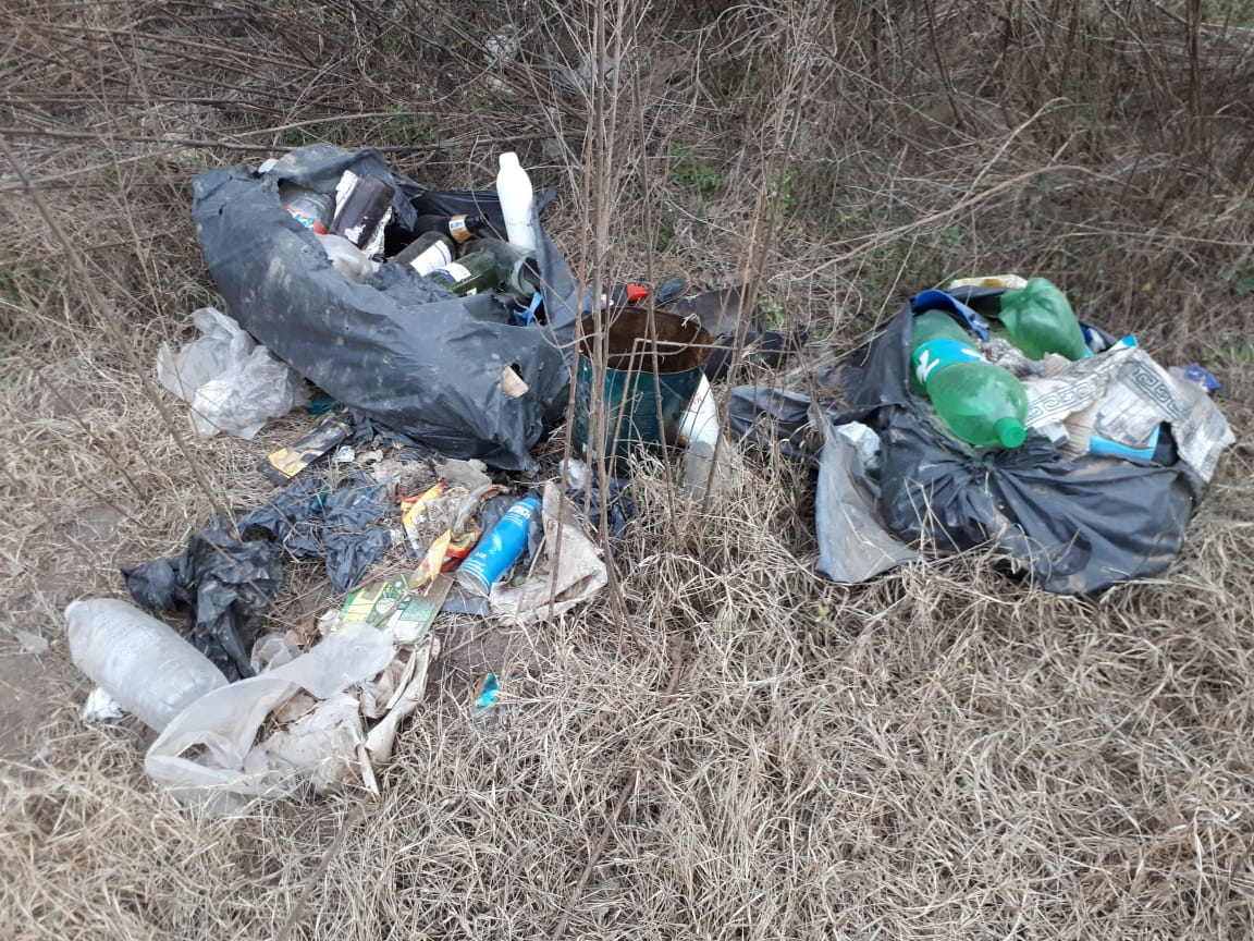 233ee56d-1270-490d-9c62-31b610782599