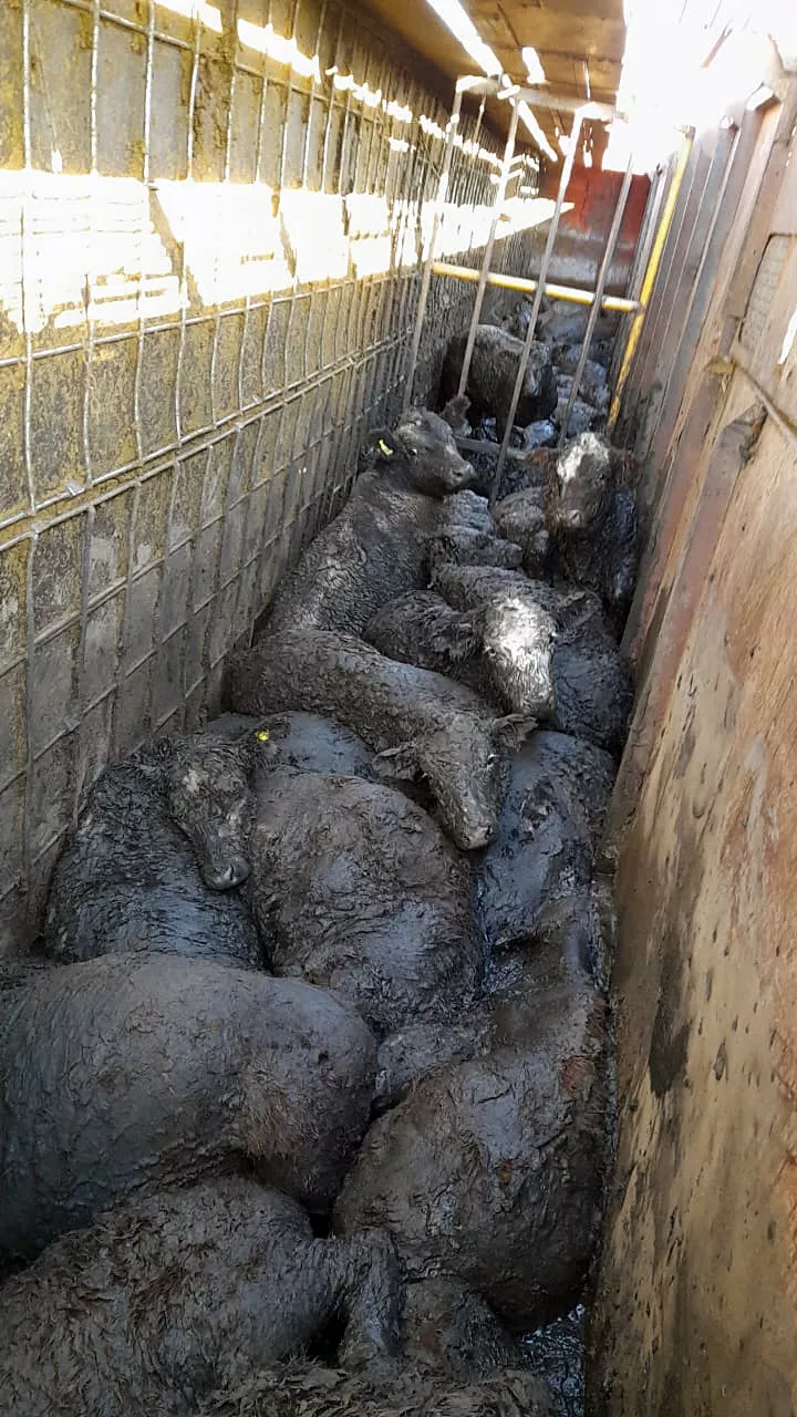 GRUA CAMION BARROZO 4