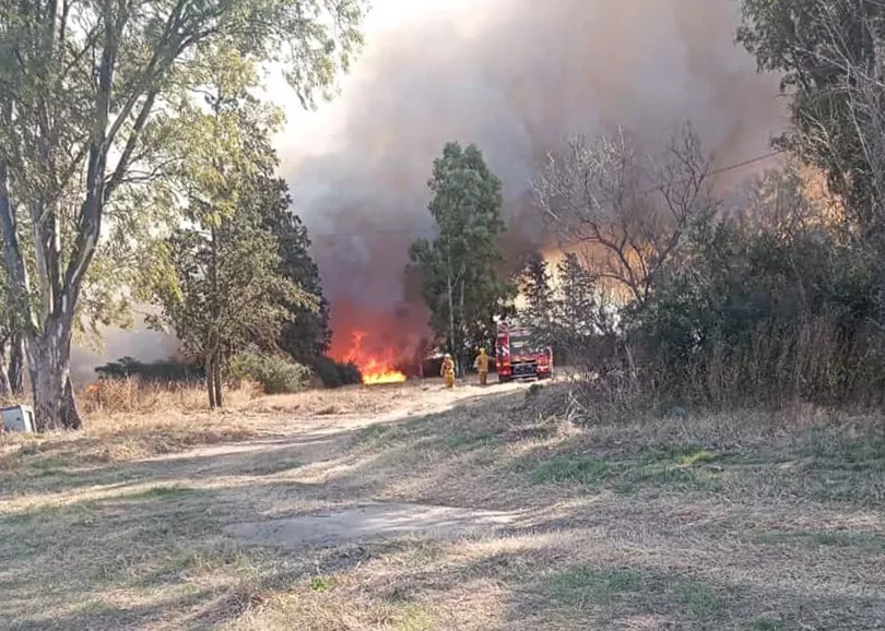 25f17349-6491-4e2c-b518-4aae664f1611