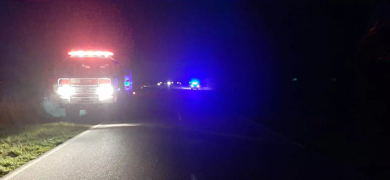 241803194_4632231286788507_4578201675608354940_n