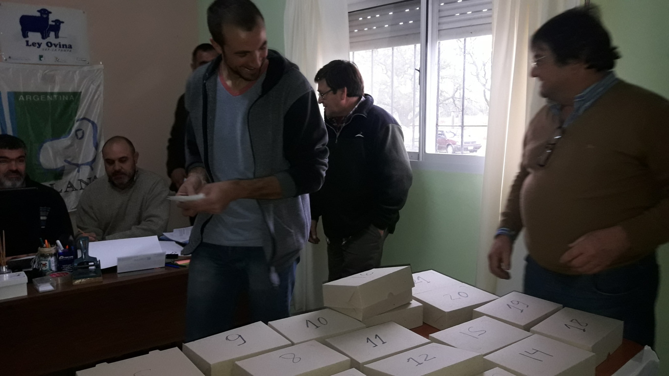 VENTA DE LANA PORLICITACIÓN CROYPA ASOPROMA 003 (FILEminimizer)