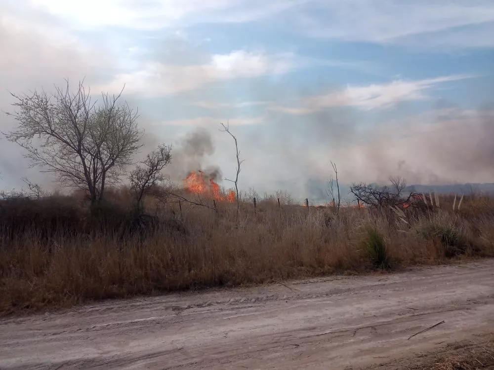 6d6c8418-3c28-4ea0-bfc3-19e0a442739d