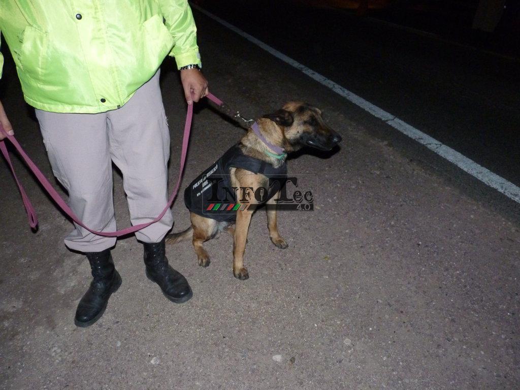 P1220164 (FILEminimizer)