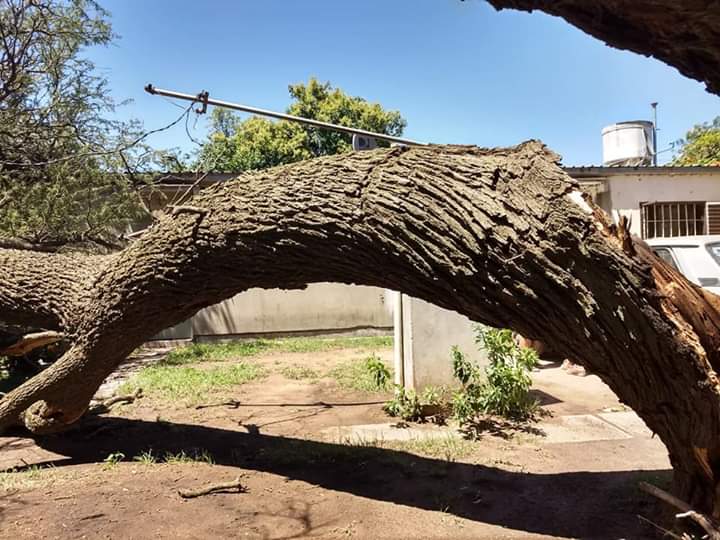 FB_IMG_1546189634797