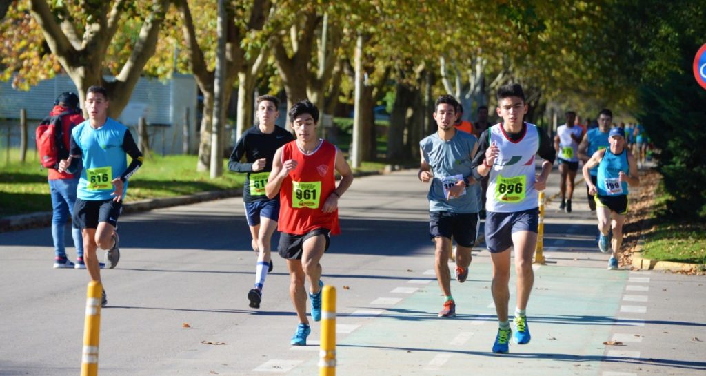 WhatsApp-Image-2019-05-12-at-13.52.03-1024x546