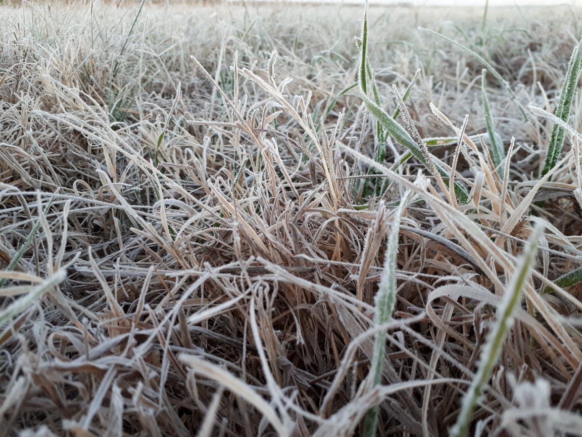 a3099cc2-32bf-49a0-9453-acb6c5c93038