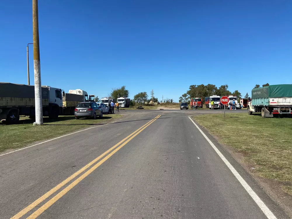 WhatsApp Image 2022-04-13 at 11.26.43 AM