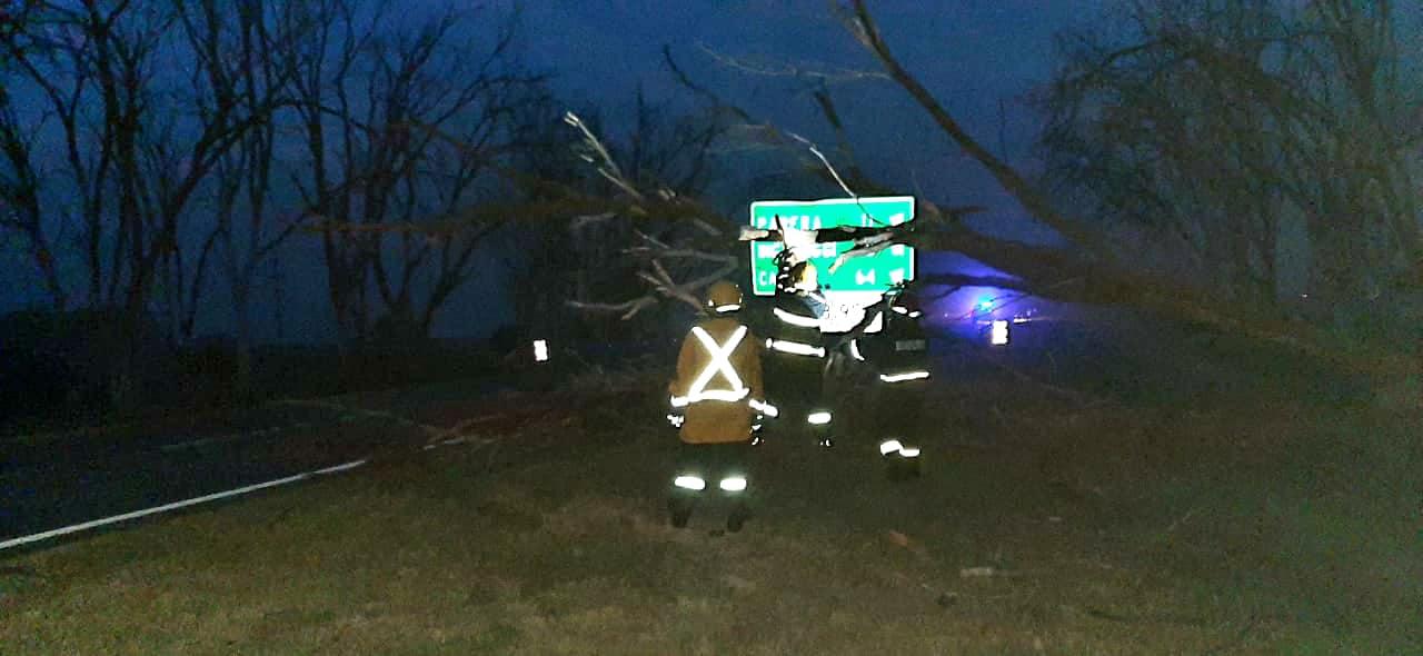 131262159_3838260482852262_4424066285512684641_o