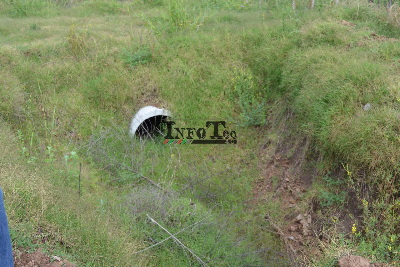 925b696a-d7ff-4ca7-b8e2-e917bd064158