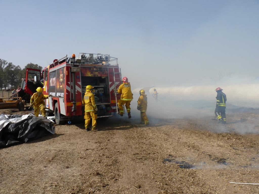 P1050972 (FILEminimizer)