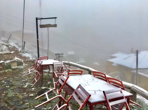 331067624_3407031542901040_5853783958487951571_n