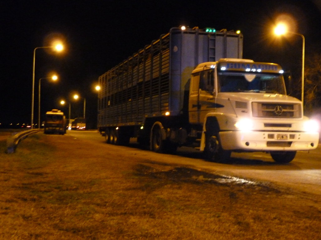 P1220968 (FILEminimizer)