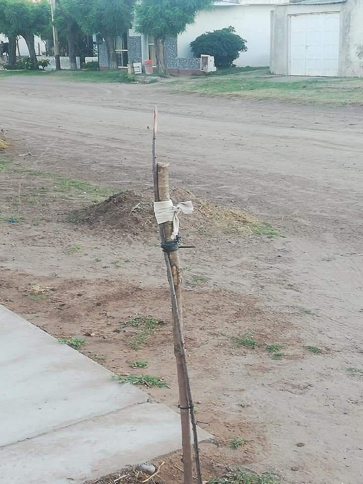 4a66c4a5-b3aa-49ad-a56d-929560998242