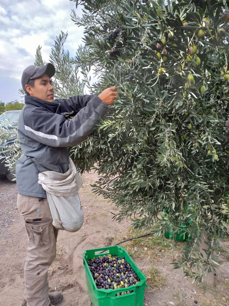 286202_img-20220422-wa0068