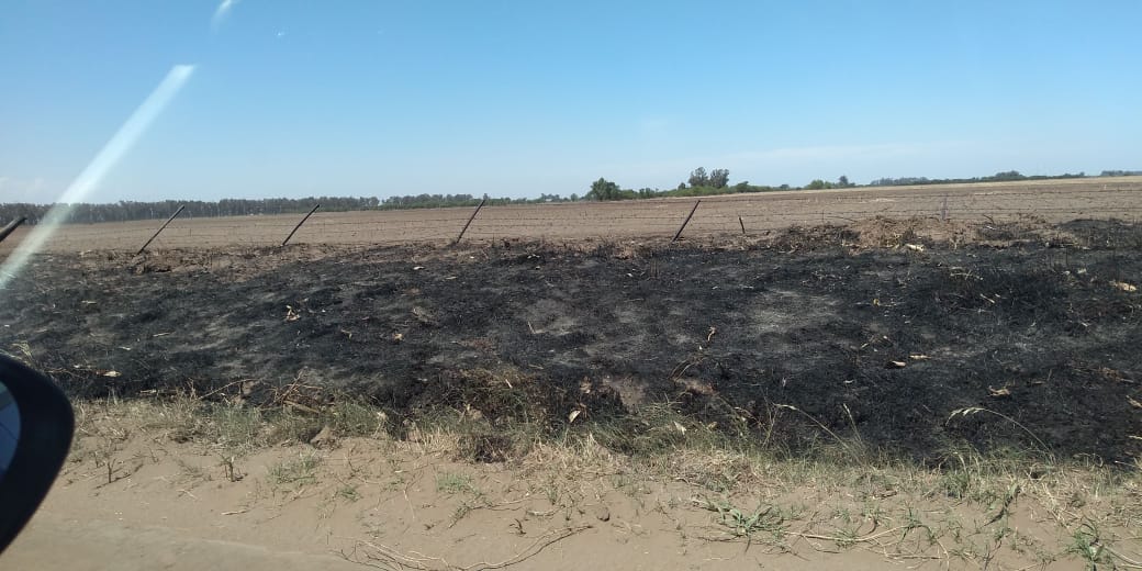 66d69c49-15a8-4205-878b-66873fbf096e