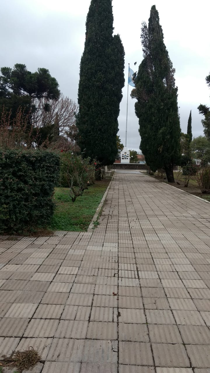 7333e3fc-2c69-44e9-a0d4-2d6a2cec04b3