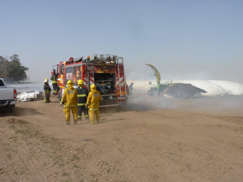 P1050966 (FILEminimizer)