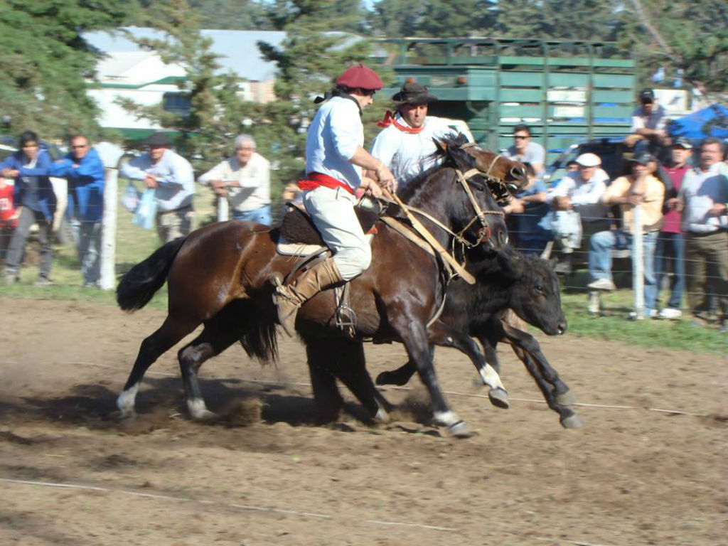 Caballos-Caballos-156847484204362