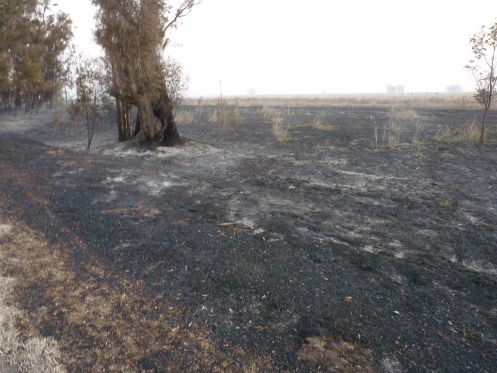 P1060041 (FILEminimizer)