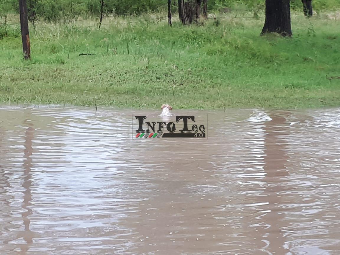 42efe8ae-b2dc-4880-926f-626e64a42e58