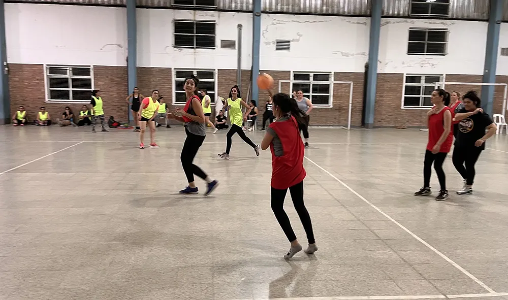 cesto 2 (FILEminimizer)