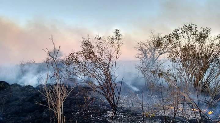 d4a5d280-7440-418f-8352-31efbbb09059